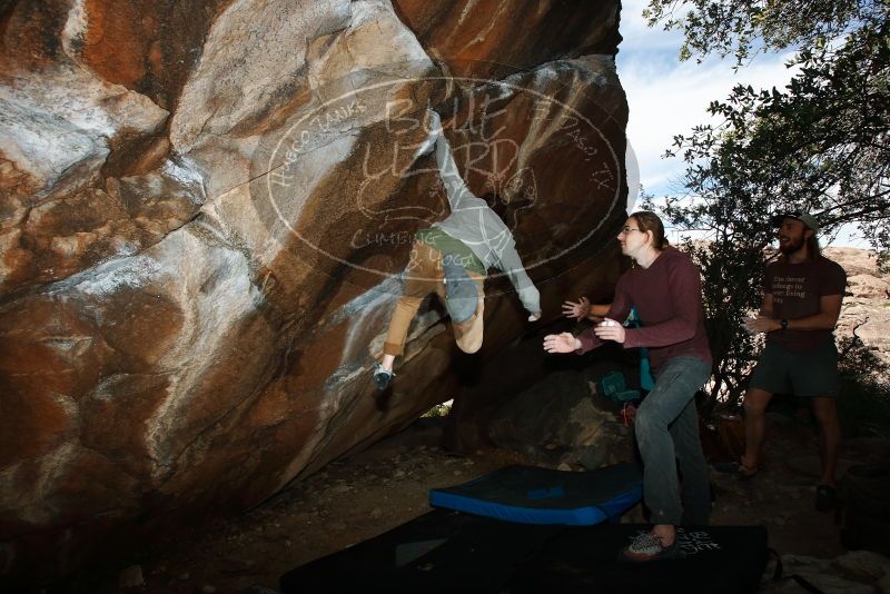 Bouldering in Hueco Tanks on 11/16/2019 with Blue Lizard Climbing and Yoga

Filename: SRM_20191116_1357590.jpg
Aperture: f/8.0
Shutter Speed: 1/250
Body: Canon EOS-1D Mark II
Lens: Canon EF 16-35mm f/2.8 L