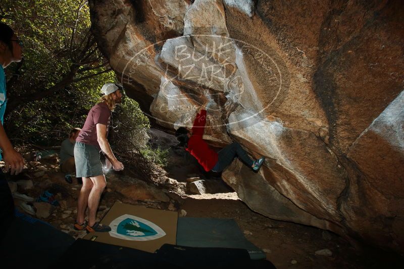 Bouldering in Hueco Tanks on 11/16/2019 with Blue Lizard Climbing and Yoga

Filename: SRM_20191116_1401010.jpg
Aperture: f/8.0
Shutter Speed: 1/250
Body: Canon EOS-1D Mark II
Lens: Canon EF 16-35mm f/2.8 L
