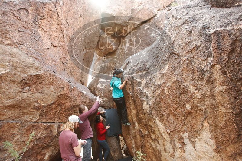 Bouldering in Hueco Tanks on 11/16/2019 with Blue Lizard Climbing and Yoga

Filename: SRM_20191116_1425440.jpg
Aperture: f/5.6
Shutter Speed: 1/250
Body: Canon EOS-1D Mark II
Lens: Canon EF 16-35mm f/2.8 L