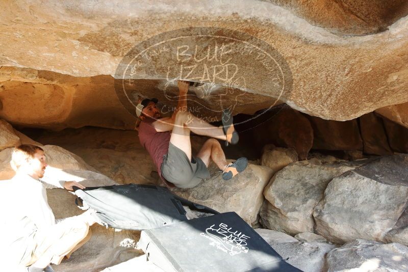 Bouldering in Hueco Tanks on 11/16/2019 with Blue Lizard Climbing and Yoga

Filename: SRM_20191116_1558500.jpg
Aperture: f/5.6
Shutter Speed: 1/160
Body: Canon EOS-1D Mark II
Lens: Canon EF 16-35mm f/2.8 L