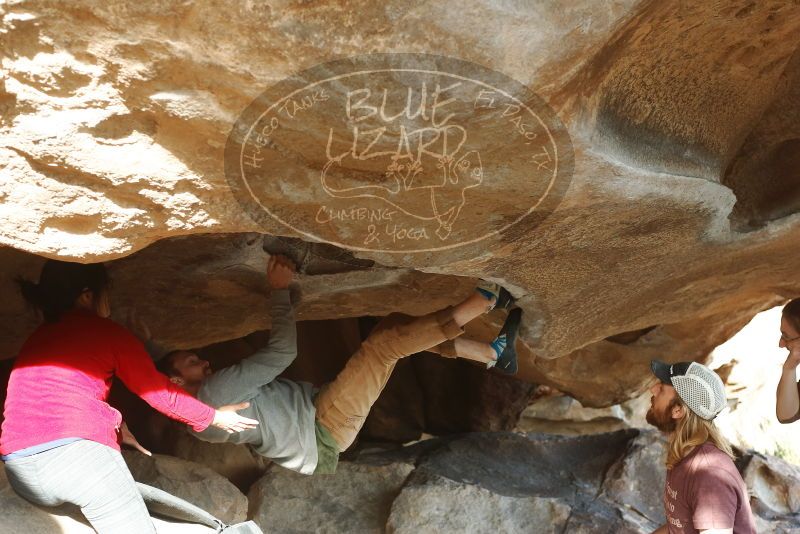 Bouldering in Hueco Tanks on 11/16/2019 with Blue Lizard Climbing and Yoga

Filename: SRM_20191116_1619400.jpg
Aperture: f/4.0
Shutter Speed: 1/160
Body: Canon EOS-1D Mark II
Lens: Canon EF 50mm f/1.8 II
