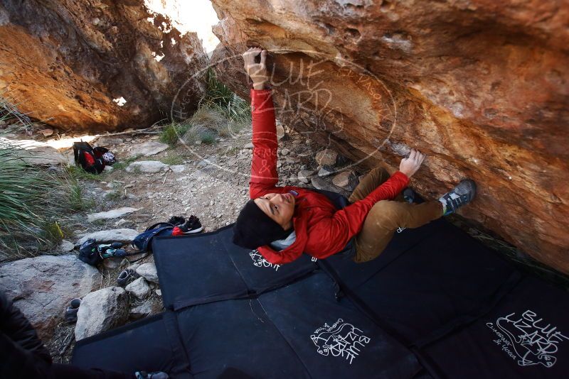 Bouldering in Hueco Tanks on 11/23/2019 with Blue Lizard Climbing and Yoga

Filename: SRM_20191123_1234150.jpg
Aperture: f/4.0
Shutter Speed: 1/250
Body: Canon EOS-1D Mark II
Lens: Canon EF 16-35mm f/2.8 L