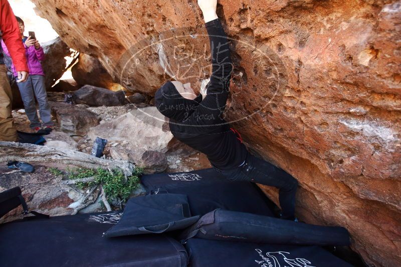 Bouldering in Hueco Tanks on 11/23/2019 with Blue Lizard Climbing and Yoga

Filename: SRM_20191123_1253110.jpg
Aperture: f/3.5
Shutter Speed: 1/250
Body: Canon EOS-1D Mark II
Lens: Canon EF 16-35mm f/2.8 L