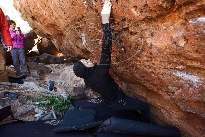 Bouldering in Hueco Tanks on 11/23/2019 with Blue Lizard Climbing and Yoga

Filename: SRM_20191123_1253111.jpg
Aperture: f/4.0
Shutter Speed: 1/250
Body: Canon EOS-1D Mark II
Lens: Canon EF 16-35mm f/2.8 L