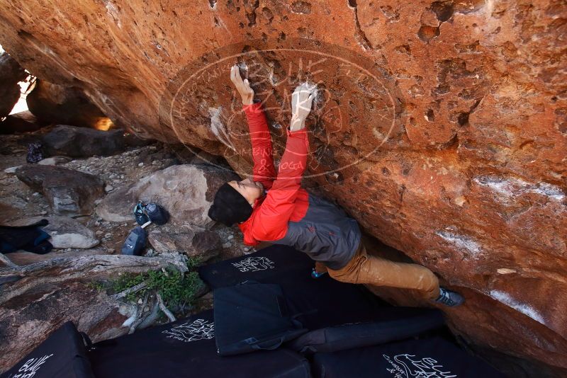 Bouldering in Hueco Tanks on 11/23/2019 with Blue Lizard Climbing and Yoga

Filename: SRM_20191123_1256500.jpg
Aperture: f/5.0
Shutter Speed: 1/250
Body: Canon EOS-1D Mark II
Lens: Canon EF 16-35mm f/2.8 L