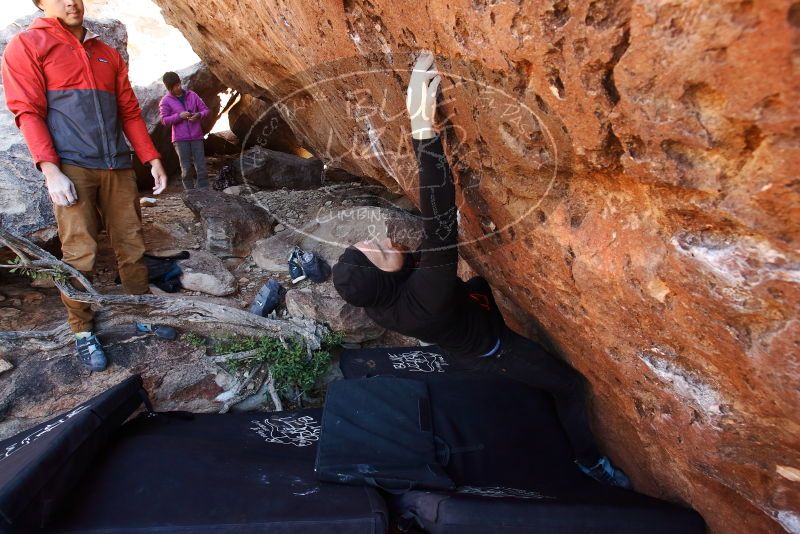Bouldering in Hueco Tanks on 11/23/2019 with Blue Lizard Climbing and Yoga

Filename: SRM_20191123_1257440.jpg
Aperture: f/5.6
Shutter Speed: 1/160
Body: Canon EOS-1D Mark II
Lens: Canon EF 16-35mm f/2.8 L