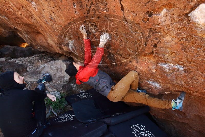 Bouldering in Hueco Tanks on 11/23/2019 with Blue Lizard Climbing and Yoga

Filename: SRM_20191123_1259060.jpg
Aperture: f/6.3
Shutter Speed: 1/160
Body: Canon EOS-1D Mark II
Lens: Canon EF 16-35mm f/2.8 L