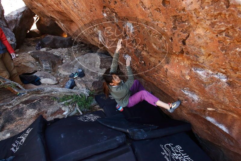 Bouldering in Hueco Tanks on 11/23/2019 with Blue Lizard Climbing and Yoga

Filename: SRM_20191123_1306320.jpg
Aperture: f/5.0
Shutter Speed: 1/250
Body: Canon EOS-1D Mark II
Lens: Canon EF 16-35mm f/2.8 L