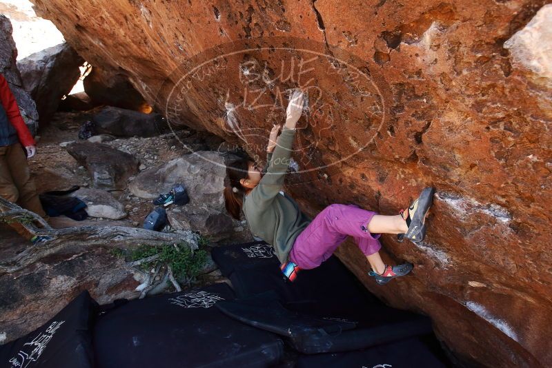 Bouldering in Hueco Tanks on 11/23/2019 with Blue Lizard Climbing and Yoga

Filename: SRM_20191123_1306420.jpg
Aperture: f/5.6
Shutter Speed: 1/250
Body: Canon EOS-1D Mark II
Lens: Canon EF 16-35mm f/2.8 L