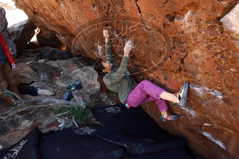 Bouldering in Hueco Tanks on 11/23/2019 with Blue Lizard Climbing and Yoga

Filename: SRM_20191123_1306430.jpg
Aperture: f/5.6
Shutter Speed: 1/250
Body: Canon EOS-1D Mark II
Lens: Canon EF 16-35mm f/2.8 L
