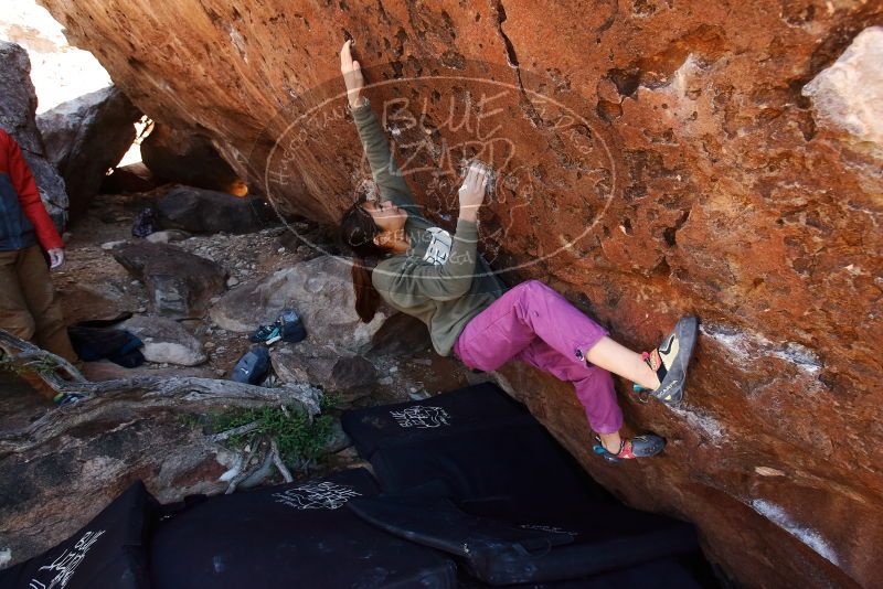 Bouldering in Hueco Tanks on 11/23/2019 with Blue Lizard Climbing and Yoga

Filename: SRM_20191123_1306440.jpg
Aperture: f/5.6
Shutter Speed: 1/250
Body: Canon EOS-1D Mark II
Lens: Canon EF 16-35mm f/2.8 L