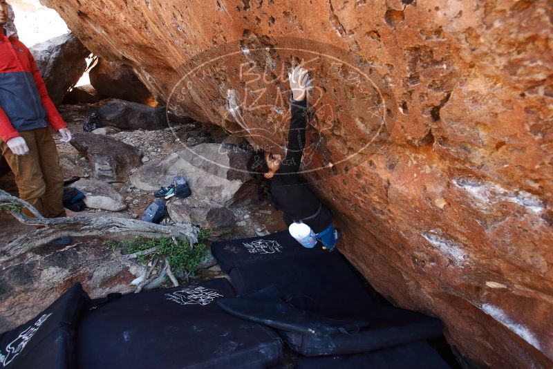 Bouldering in Hueco Tanks on 11/23/2019 with Blue Lizard Climbing and Yoga

Filename: SRM_20191123_1308080.jpg
Aperture: f/4.5
Shutter Speed: 1/250
Body: Canon EOS-1D Mark II
Lens: Canon EF 16-35mm f/2.8 L