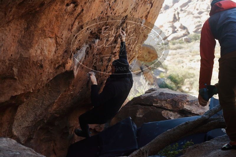 Bouldering in Hueco Tanks on 11/23/2019 with Blue Lizard Climbing and Yoga

Filename: SRM_20191123_1313290.jpg
Aperture: f/5.0
Shutter Speed: 1/250
Body: Canon EOS-1D Mark II
Lens: Canon EF 50mm f/1.8 II