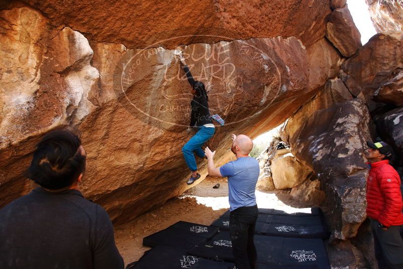 Bouldering in Hueco Tanks on 11/23/2019 with Blue Lizard Climbing and Yoga

Filename: SRM_20191123_1441550.jpg
Aperture: f/4.0
Shutter Speed: 1/250
Body: Canon EOS-1D Mark II
Lens: Canon EF 16-35mm f/2.8 L