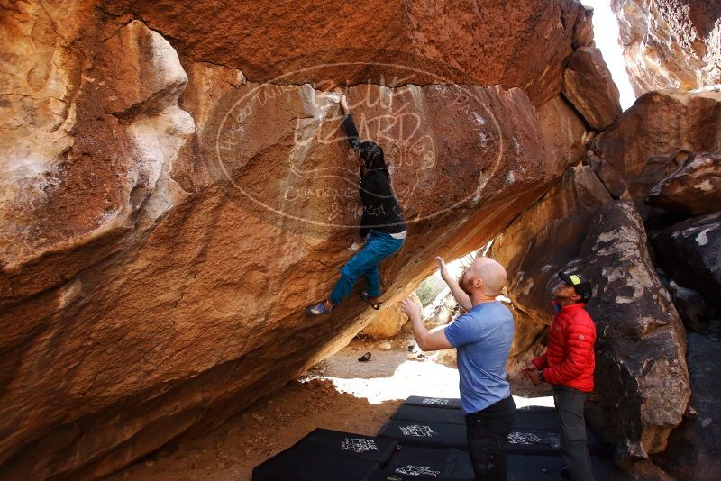 Bouldering in Hueco Tanks on 11/23/2019 with Blue Lizard Climbing and Yoga

Filename: SRM_20191123_1442470.jpg
Aperture: f/4.5
Shutter Speed: 1/250
Body: Canon EOS-1D Mark II
Lens: Canon EF 16-35mm f/2.8 L