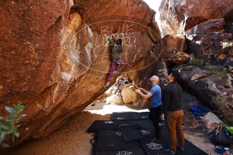 Bouldering in Hueco Tanks on 11/23/2019 with Blue Lizard Climbing and Yoga

Filename: SRM_20191123_1447270.jpg
Aperture: f/4.5
Shutter Speed: 1/250
Body: Canon EOS-1D Mark II
Lens: Canon EF 16-35mm f/2.8 L