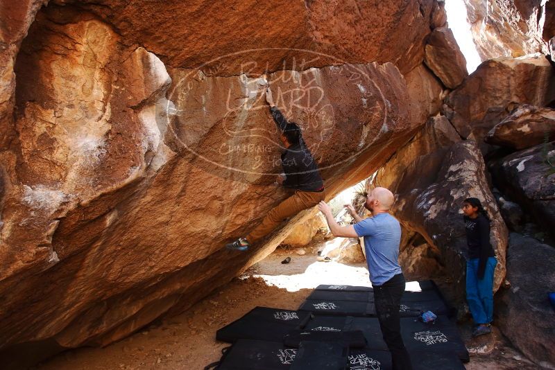 Bouldering in Hueco Tanks on 11/23/2019 with Blue Lizard Climbing and Yoga

Filename: SRM_20191123_1449050.jpg
Aperture: f/4.5
Shutter Speed: 1/250
Body: Canon EOS-1D Mark II
Lens: Canon EF 16-35mm f/2.8 L