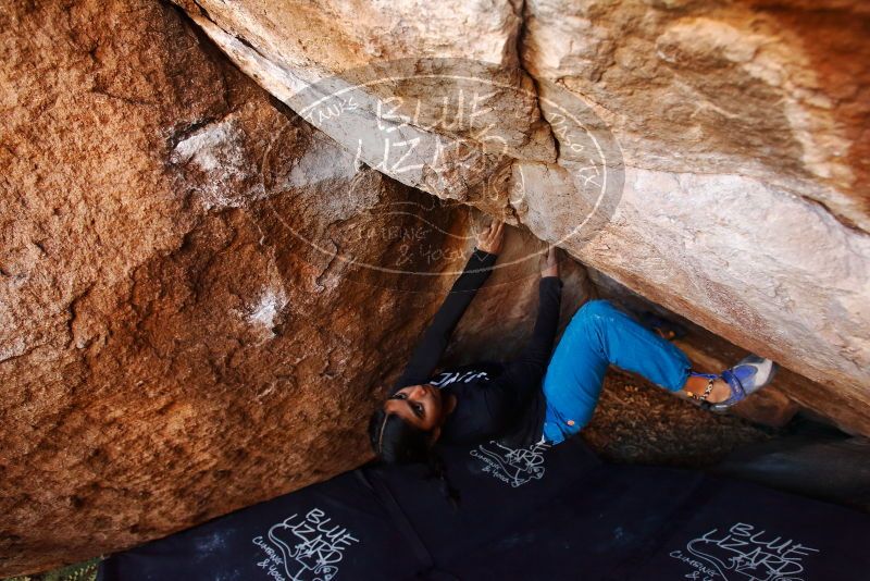 Bouldering in Hueco Tanks on 11/23/2019 with Blue Lizard Climbing and Yoga

Filename: SRM_20191123_1515240.jpg
Aperture: f/4.5
Shutter Speed: 1/250
Body: Canon EOS-1D Mark II
Lens: Canon EF 16-35mm f/2.8 L
