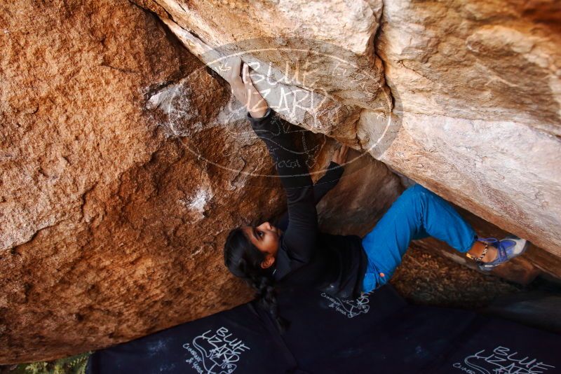 

Filename: SRM_20191123_1515260.jpg
Aperture: f/4.5
Shutter Speed: 1/250
Body: Canon EOS-1D Mark II
Lens: Canon EF 16-35mm f/2.8 L