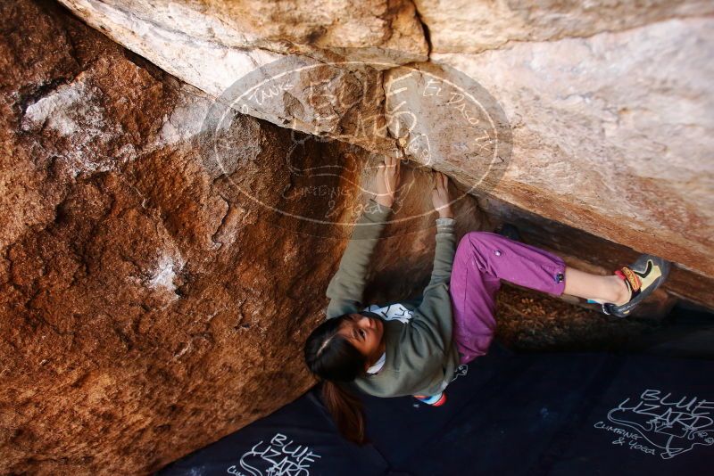 Bouldering in Hueco Tanks on 11/23/2019 with Blue Lizard Climbing and Yoga

Filename: SRM_20191123_1517290.jpg
Aperture: f/4.5
Shutter Speed: 1/250
Body: Canon EOS-1D Mark II
Lens: Canon EF 16-35mm f/2.8 L