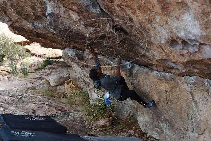 Bouldering in Hueco Tanks on 11/24/2019 with Blue Lizard Climbing and Yoga

Filename: SRM_20191124_1007010.jpg
Aperture: f/6.3
Shutter Speed: 1/250
Body: Canon EOS-1D Mark II
Lens: Canon EF 50mm f/1.8 II