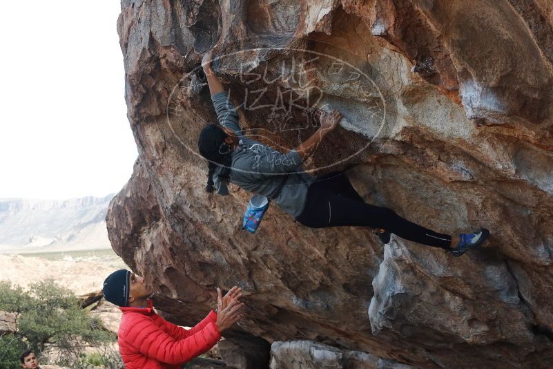 Bouldering in Hueco Tanks on 11/24/2019 with Blue Lizard Climbing and Yoga

Filename: SRM_20191124_1007500.jpg
Aperture: f/8.0
Shutter Speed: 1/250
Body: Canon EOS-1D Mark II
Lens: Canon EF 50mm f/1.8 II