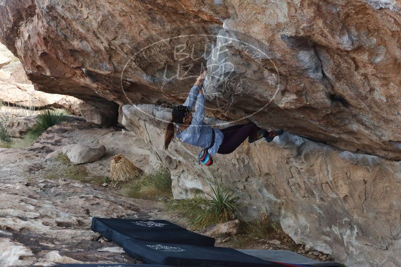 Bouldering in Hueco Tanks on 11/24/2019 with Blue Lizard Climbing and Yoga

Filename: SRM_20191124_1008370.jpg
Aperture: f/6.3
Shutter Speed: 1/250
Body: Canon EOS-1D Mark II
Lens: Canon EF 50mm f/1.8 II