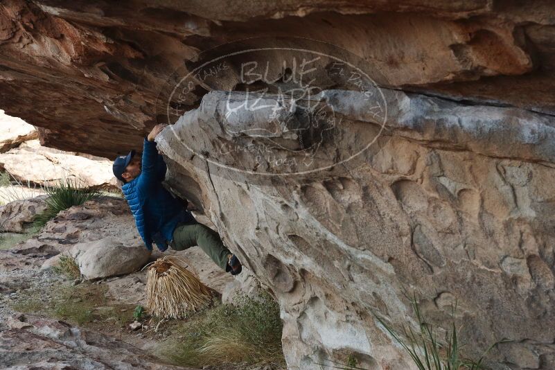 Bouldering in Hueco Tanks on 11/24/2019 with Blue Lizard Climbing and Yoga

Filename: SRM_20191124_1012080.jpg
Aperture: f/6.3
Shutter Speed: 1/250
Body: Canon EOS-1D Mark II
Lens: Canon EF 50mm f/1.8 II