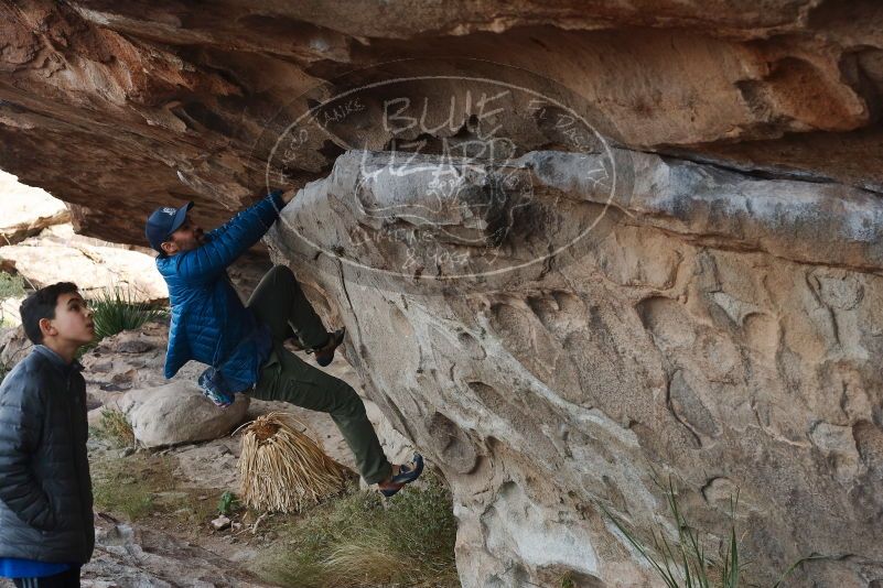 Bouldering in Hueco Tanks on 11/24/2019 with Blue Lizard Climbing and Yoga

Filename: SRM_20191124_1012220.jpg
Aperture: f/5.6
Shutter Speed: 1/250
Body: Canon EOS-1D Mark II
Lens: Canon EF 50mm f/1.8 II