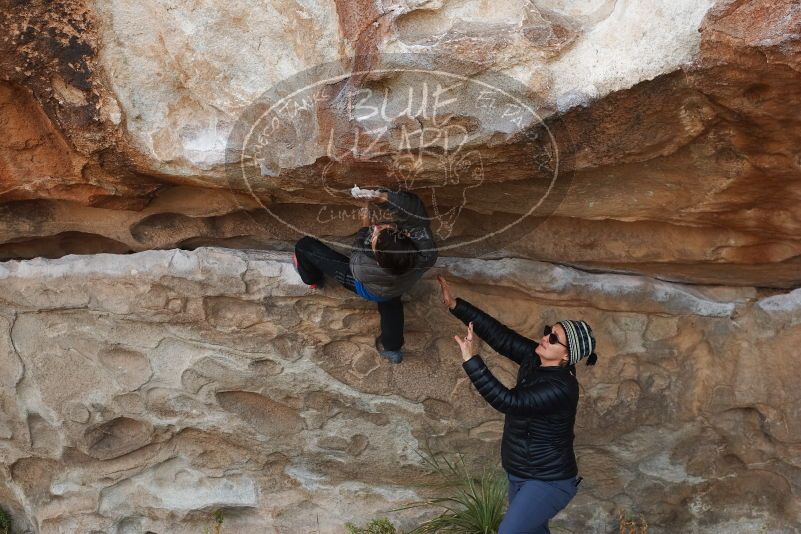 Bouldering in Hueco Tanks on 11/24/2019 with Blue Lizard Climbing and Yoga

Filename: SRM_20191124_1019100.jpg
Aperture: f/5.0
Shutter Speed: 1/250
Body: Canon EOS-1D Mark II
Lens: Canon EF 50mm f/1.8 II
