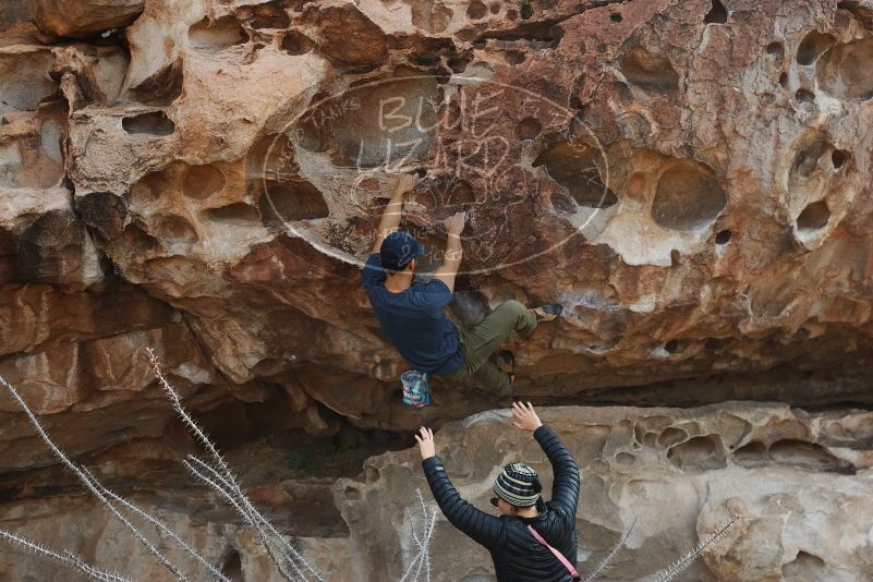 Bouldering in Hueco Tanks on 11/24/2019 with Blue Lizard Climbing and Yoga

Filename: SRM_20191124_1020440.jpg
Aperture: f/6.3
Shutter Speed: 1/250
Body: Canon EOS-1D Mark II
Lens: Canon EF 50mm f/1.8 II