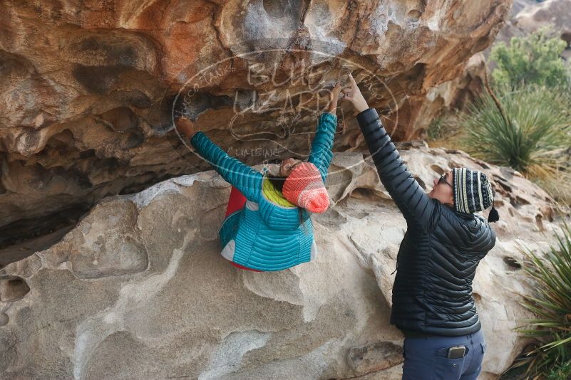 Bouldering in Hueco Tanks on 11/24/2019 with Blue Lizard Climbing and Yoga

Filename: SRM_20191124_1023480.jpg
Aperture: f/5.6
Shutter Speed: 1/250
Body: Canon EOS-1D Mark II
Lens: Canon EF 50mm f/1.8 II
