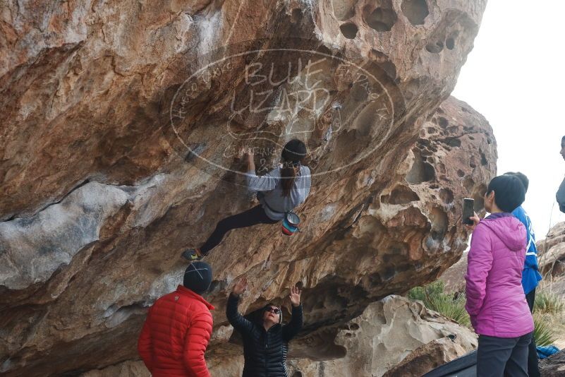 Bouldering in Hueco Tanks on 11/24/2019 with Blue Lizard Climbing and Yoga

Filename: SRM_20191124_1038440.jpg
Aperture: f/8.0
Shutter Speed: 1/250
Body: Canon EOS-1D Mark II
Lens: Canon EF 50mm f/1.8 II