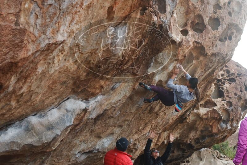Bouldering in Hueco Tanks on 11/24/2019 with Blue Lizard Climbing and Yoga

Filename: SRM_20191124_1039070.jpg
Aperture: f/6.3
Shutter Speed: 1/320
Body: Canon EOS-1D Mark II
Lens: Canon EF 50mm f/1.8 II