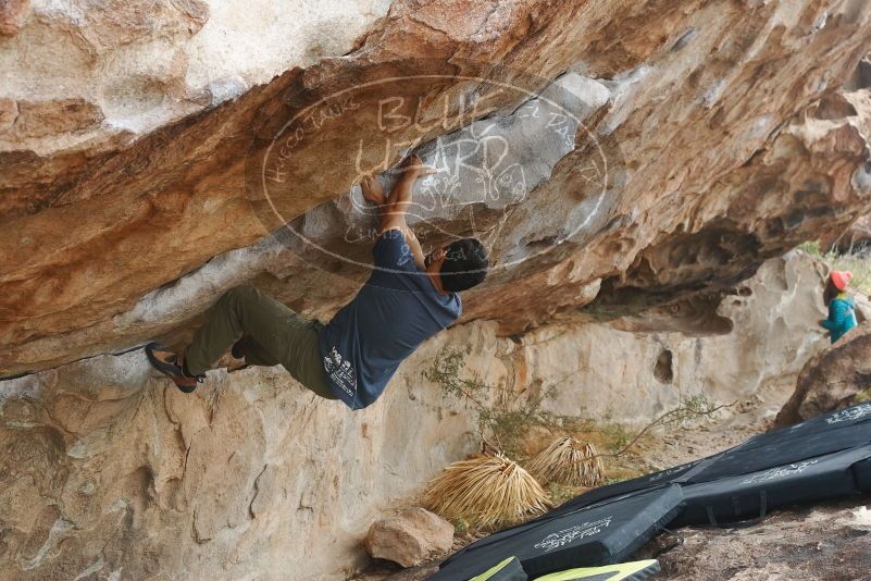 Bouldering in Hueco Tanks on 11/24/2019 with Blue Lizard Climbing and Yoga

Filename: SRM_20191124_1054420.jpg
Aperture: f/5.6
Shutter Speed: 1/320
Body: Canon EOS-1D Mark II
Lens: Canon EF 50mm f/1.8 II