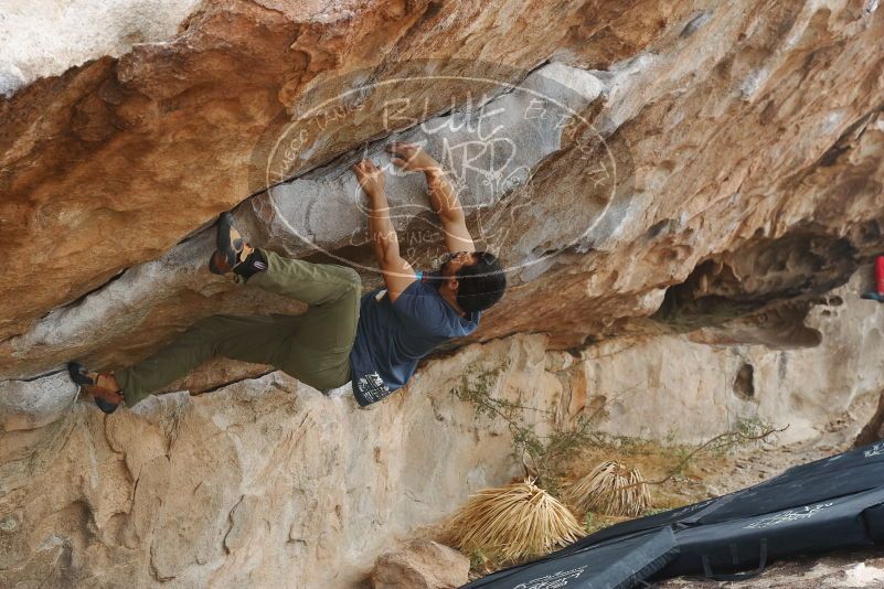 Bouldering in Hueco Tanks on 11/24/2019 with Blue Lizard Climbing and Yoga

Filename: SRM_20191124_1054480.jpg
Aperture: f/5.6
Shutter Speed: 1/320
Body: Canon EOS-1D Mark II
Lens: Canon EF 50mm f/1.8 II