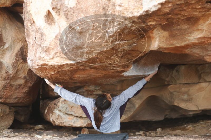 Bouldering in Hueco Tanks on 11/24/2019 with Blue Lizard Climbing and Yoga

Filename: SRM_20191124_1100380.jpg
Aperture: f/2.8
Shutter Speed: 1/320
Body: Canon EOS-1D Mark II
Lens: Canon EF 50mm f/1.8 II