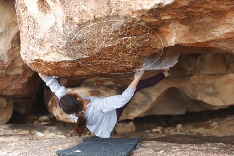 Bouldering in Hueco Tanks on 11/24/2019 with Blue Lizard Climbing and Yoga

Filename: SRM_20191124_1100470.jpg
Aperture: f/3.2
Shutter Speed: 1/320
Body: Canon EOS-1D Mark II
Lens: Canon EF 50mm f/1.8 II