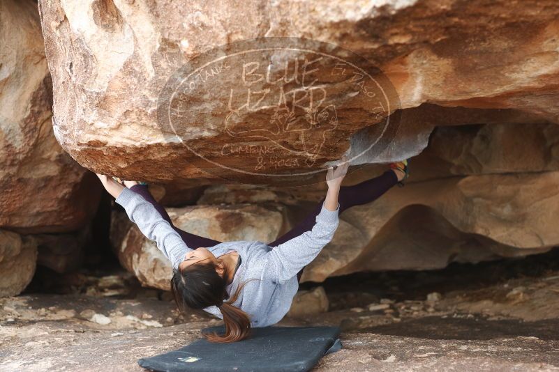 Bouldering in Hueco Tanks on 11/24/2019 with Blue Lizard Climbing and Yoga

Filename: SRM_20191124_1100471.jpg
Aperture: f/3.2
Shutter Speed: 1/320
Body: Canon EOS-1D Mark II
Lens: Canon EF 50mm f/1.8 II