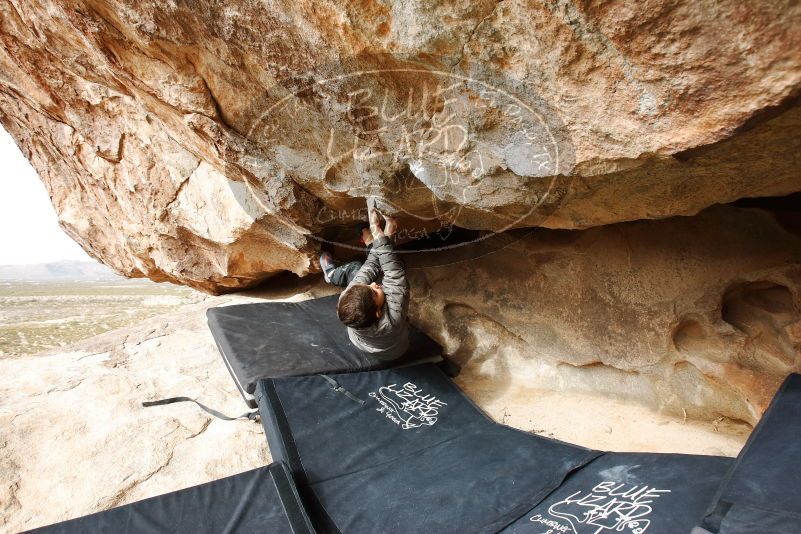 Bouldering in Hueco Tanks on 11/24/2019 with Blue Lizard Climbing and Yoga

Filename: SRM_20191124_1126530.jpg
Aperture: f/6.3
Shutter Speed: 1/320
Body: Canon EOS-1D Mark II
Lens: Canon EF 16-35mm f/2.8 L