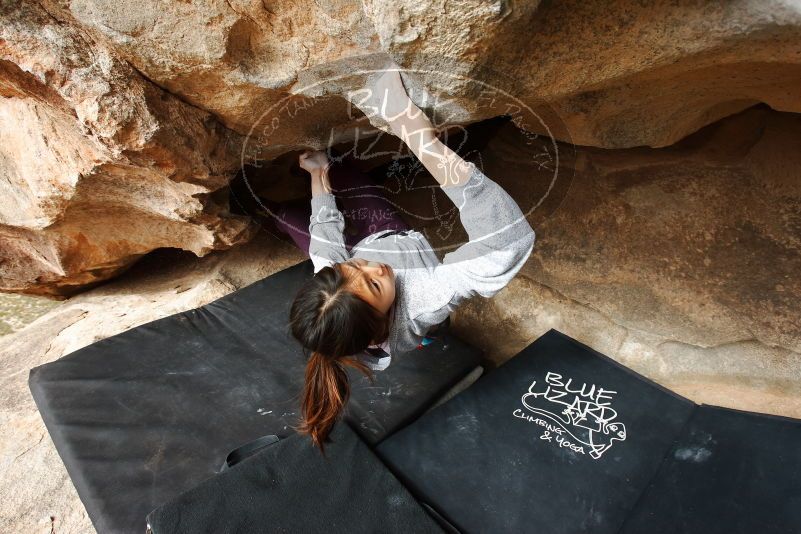 Bouldering in Hueco Tanks on 11/24/2019 with Blue Lizard Climbing and Yoga

Filename: SRM_20191124_1129070.jpg
Aperture: f/7.1
Shutter Speed: 1/320
Body: Canon EOS-1D Mark II
Lens: Canon EF 16-35mm f/2.8 L
