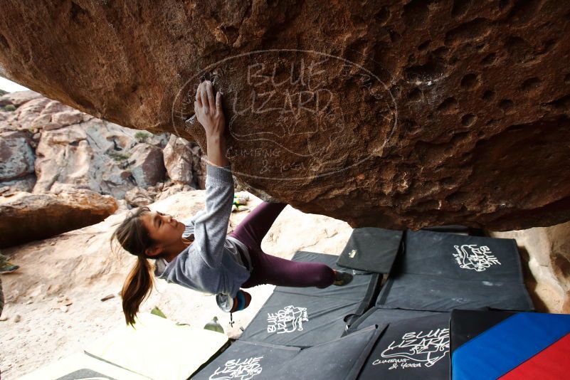 Bouldering in Hueco Tanks on 11/24/2019 with Blue Lizard Climbing and Yoga

Filename: SRM_20191124_1130070.jpg
Aperture: f/6.3
Shutter Speed: 1/320
Body: Canon EOS-1D Mark II
Lens: Canon EF 16-35mm f/2.8 L