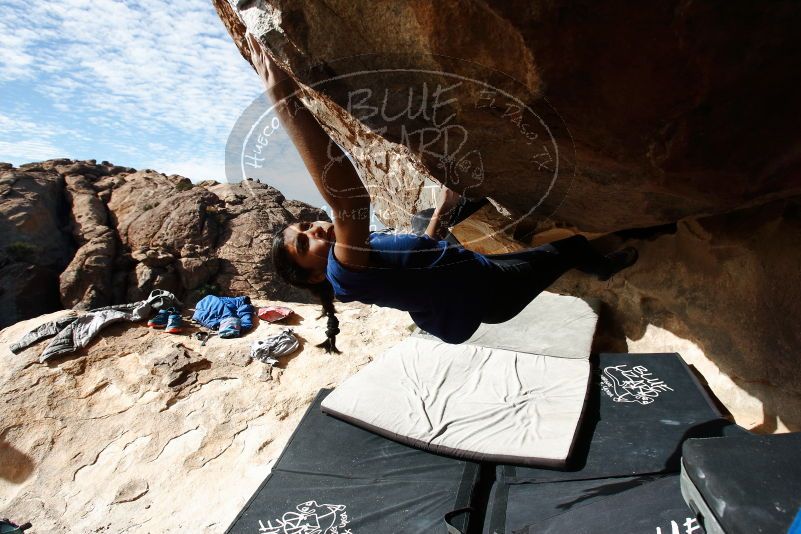 Bouldering in Hueco Tanks on 11/24/2019 with Blue Lizard Climbing and Yoga

Filename: SRM_20191124_1147400.jpg
Aperture: f/7.1
Shutter Speed: 1/500
Body: Canon EOS-1D Mark II
Lens: Canon EF 16-35mm f/2.8 L