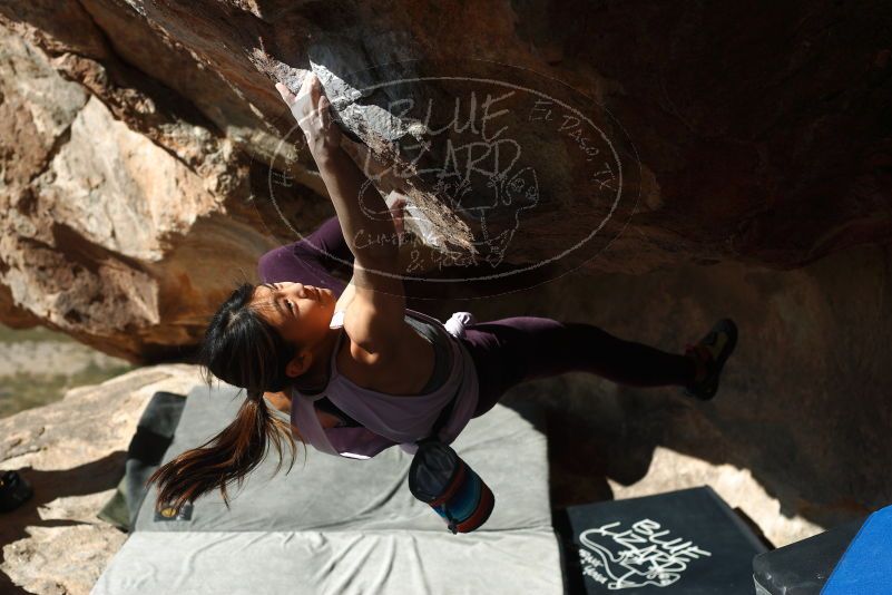 Bouldering in Hueco Tanks on 11/24/2019 with Blue Lizard Climbing and Yoga

Filename: SRM_20191124_1159000.jpg
Aperture: f/4.5
Shutter Speed: 1/500
Body: Canon EOS-1D Mark II
Lens: Canon EF 50mm f/1.8 II