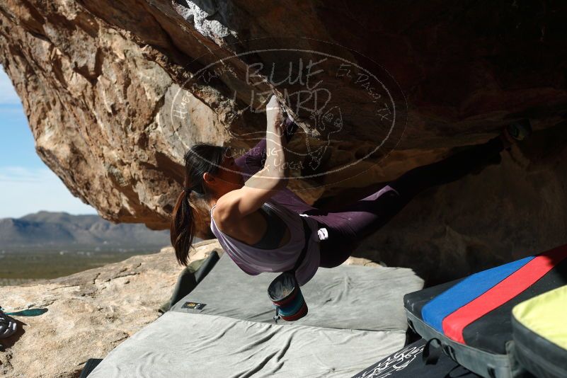Bouldering in Hueco Tanks on 11/24/2019 with Blue Lizard Climbing and Yoga

Filename: SRM_20191124_1209360.jpg
Aperture: f/5.0
Shutter Speed: 1/500
Body: Canon EOS-1D Mark II
Lens: Canon EF 50mm f/1.8 II