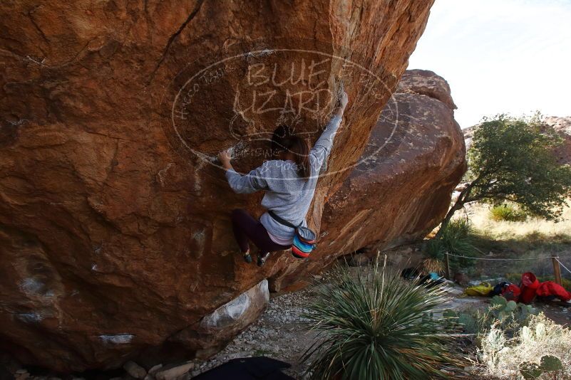 Bouldering in Hueco Tanks on 11/24/2019 with Blue Lizard Climbing and Yoga

Filename: SRM_20191124_1322490.jpg
Aperture: f/6.3
Shutter Speed: 1/320
Body: Canon EOS-1D Mark II
Lens: Canon EF 16-35mm f/2.8 L