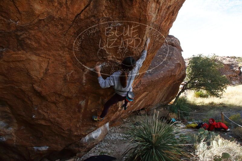 Bouldering in Hueco Tanks on 11/24/2019 with Blue Lizard Climbing and Yoga

Filename: SRM_20191124_1322530.jpg
Aperture: f/5.6
Shutter Speed: 1/320
Body: Canon EOS-1D Mark II
Lens: Canon EF 16-35mm f/2.8 L