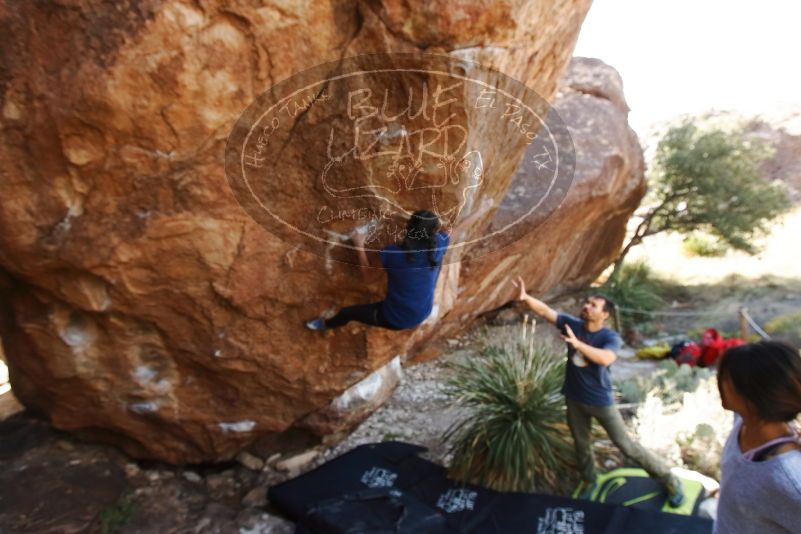 Bouldering in Hueco Tanks on 11/24/2019 with Blue Lizard Climbing and Yoga

Filename: SRM_20191124_1325350.jpg
Aperture: f/5.0
Shutter Speed: 1/250
Body: Canon EOS-1D Mark II
Lens: Canon EF 16-35mm f/2.8 L