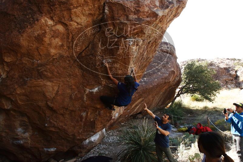 Bouldering in Hueco Tanks on 11/24/2019 with Blue Lizard Climbing and Yoga

Filename: SRM_20191124_1325460.jpg
Aperture: f/7.1
Shutter Speed: 1/250
Body: Canon EOS-1D Mark II
Lens: Canon EF 16-35mm f/2.8 L