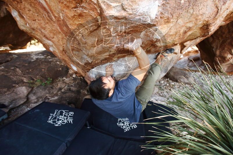 Bouldering in Hueco Tanks on 11/24/2019 with Blue Lizard Climbing and Yoga

Filename: SRM_20191124_1328590.jpg
Aperture: f/4.5
Shutter Speed: 1/250
Body: Canon EOS-1D Mark II
Lens: Canon EF 16-35mm f/2.8 L